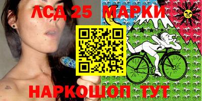 крисы Будённовск