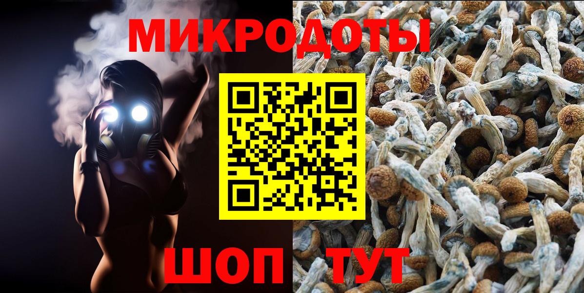 Псилоцибиновые грибы Magic Shrooms  Псилоцибиновые грибы прущие грибы  Красноармейск  Вход с VPN 